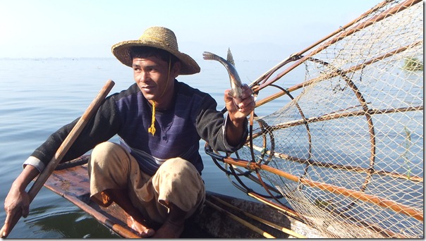 Inle Lake Fisherman, Myanmar (Burma). Copyright David Cardinal.