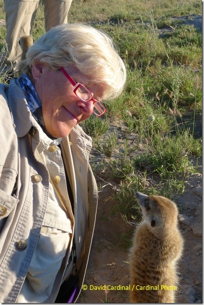 This memorable candid of Dianne from our safari with a Meerkat was only possible because I had a small and unobtrusive point and shoot that was easy to maneuver in a crowded situation. Photo taken with Panasonic Lumix DMC-LX5.