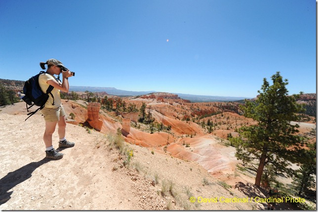 Pl_BryceCanyonNP_0293