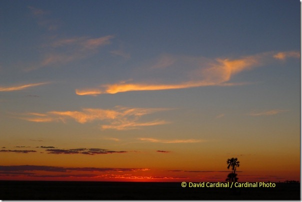 I was frankly amazed that the Lumix was able to capture the colors and tones in a tricky scene like this sunset over the Kalahari Desert with no effort on my part. 