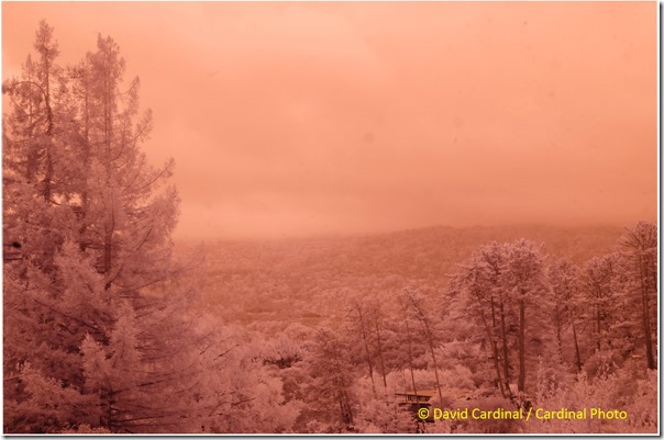 Russian Ridge View in Fog IR version only