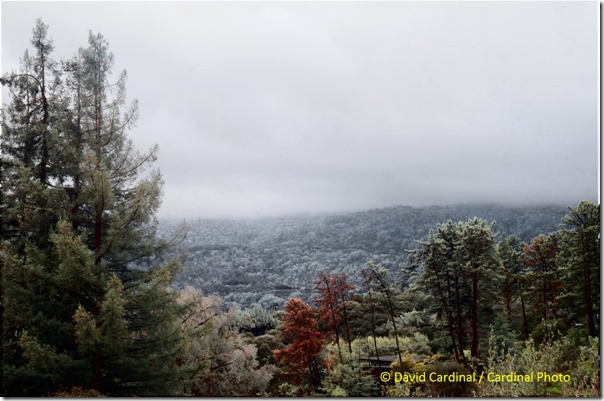 Russian Ridge View in Fog with IR Layer Overlay