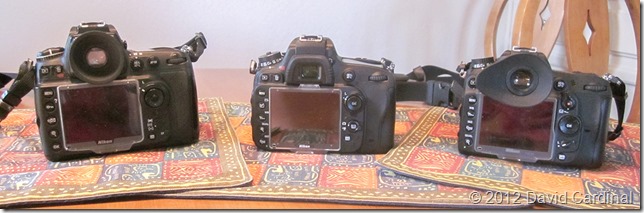 The same three cameras from the back, Nikon D700, Nikon D600, Nikon D7000