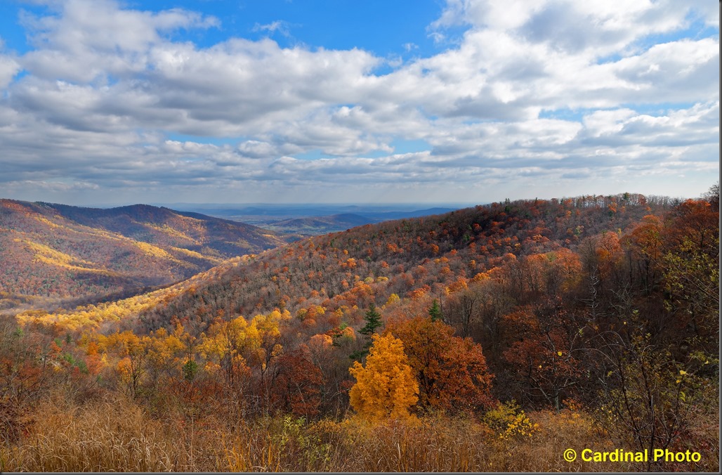 pl_blueridgemountains_0121_dxo_up