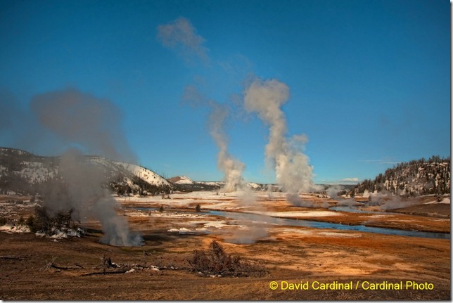 pl_centralyellowstone_0398