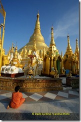 pl_shwedagon_1024