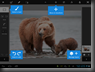 Screenshot_Photoshop_Touch_Bears