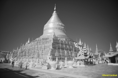 Pl_Shwe_Bagan_0076