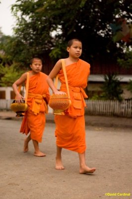 edl_luangprabangmonks_0030