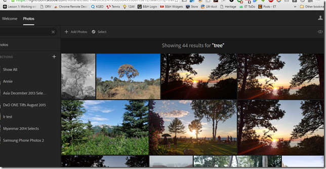 Adobe Lightroom for the web can now recognize objects for more powerful searching