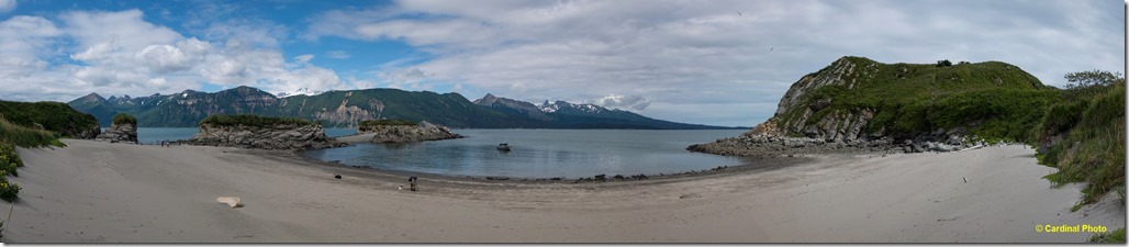 gull island panorama